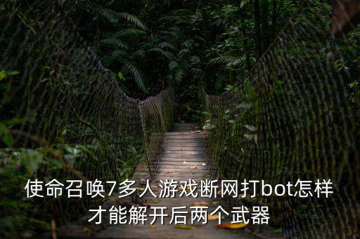 使命召唤7多人游戏断网打bot怎样才能解开后两个武器