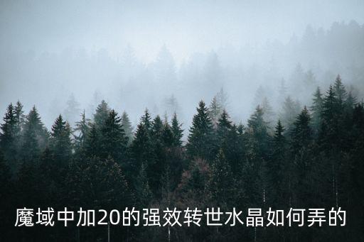 魔域中加20的强效转世水晶如何弄的