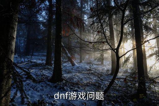 dnf游戏问题