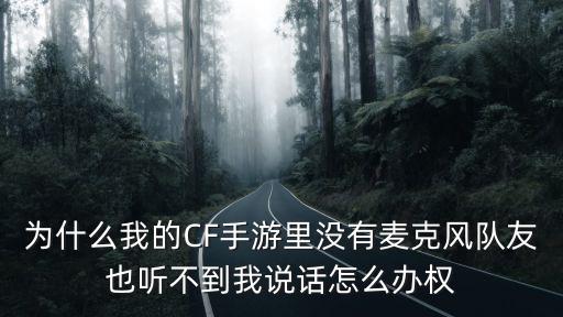 为什么我的CF手游里没有麦克风队友也听不到我说话怎么办权