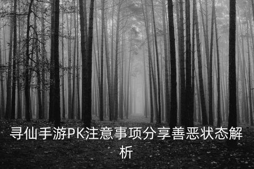 寻仙手游怎么切换善恶，寻仙手游如何开红变成红名