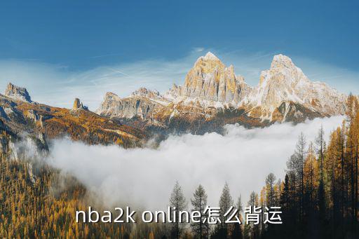 nba2k online怎么背运