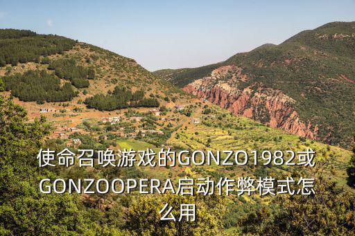 使命召唤游戏的GONZO1982或GONZOOPERA启动作弊模式怎么用