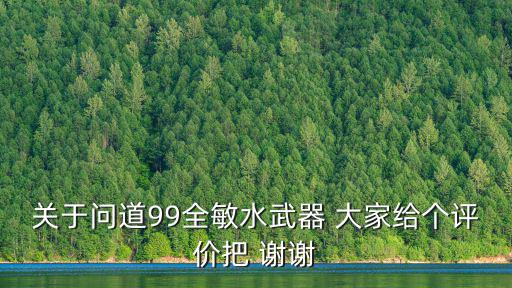 问道手游全敏水武器怎么样，关于问道99全敏水武器 大家给个评价把 谢谢