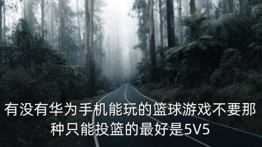 有没有华为手机能玩的篮球游戏不要那种只能投篮的最好是5V5