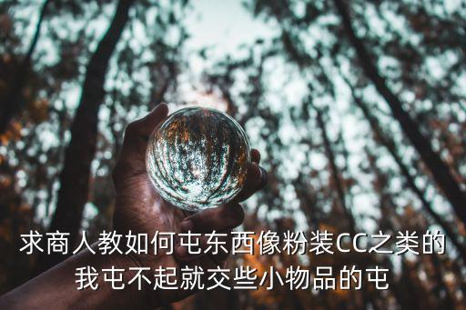 求商人教如何屯东西像粉装CC之类的我屯不起就交些小物品的屯