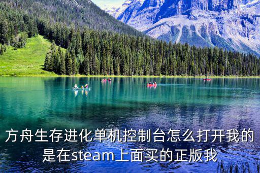 方舟生存进化单机控制台怎么打开我的是在steam上面买的正版我