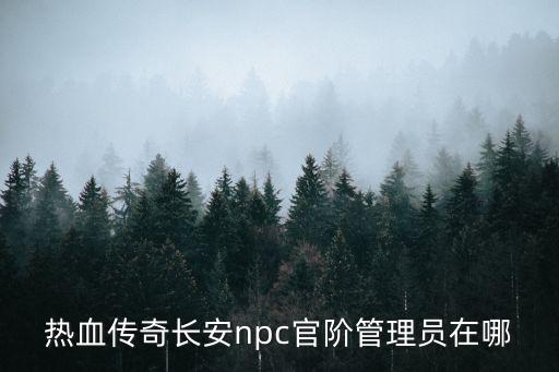 热血传奇长安npc官阶管理员在哪