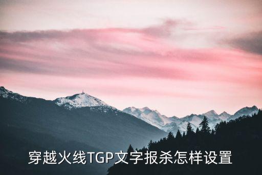 穿越火线TGP文字报杀怎样设置