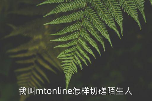 我叫mtonline怎样切磋陌生人