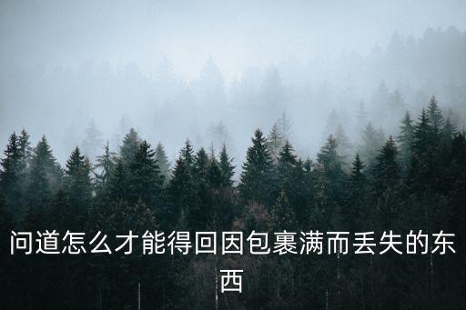 问道怎么才能得回因包裹满而丢失的东西