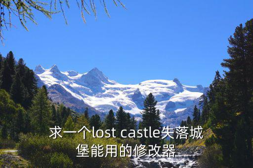 求一个lost castle失落城堡能用的修改器