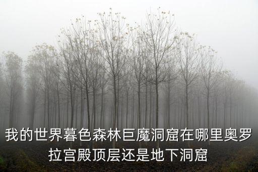 我的世界暮色森林巨魔洞窟在哪里奥罗拉宫殿顶层还是地下洞窟