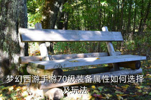 梦幻西游手游70级装备属性如何选择及玩法