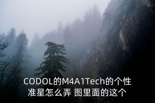 CODOL的M4A1Tech的个性准星怎么弄 图里面的这个