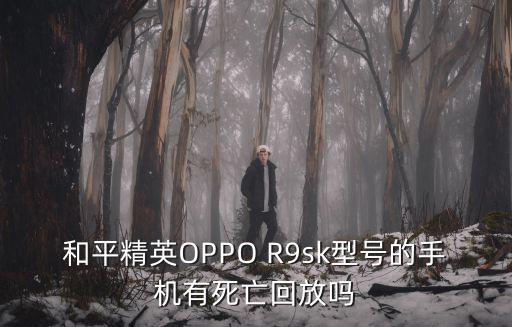 和平精英OPPO R9sk型号的手机有死亡回放吗