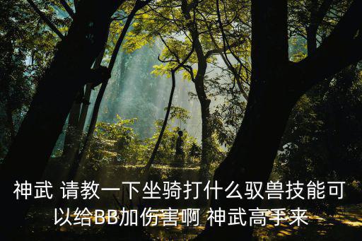 神武 请教一下坐骑打什么驭兽技能可以给BB加伤害啊 神武高手来