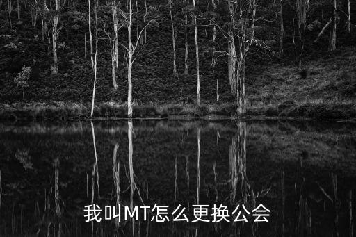 我叫MT怎么更换公会