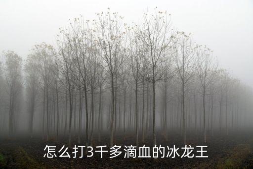 怎么打3千多滴血的冰龙王