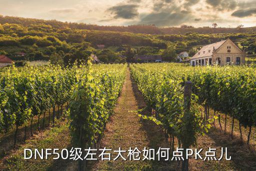 DNF50级左右大枪如何点PK点儿