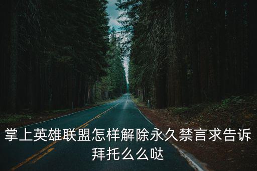 掌上英雄联盟怎样解除永久禁言求告诉拜托么么哒