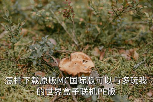 怎样下载原版MC国际版可以与多玩我的世界盒子联机PE版