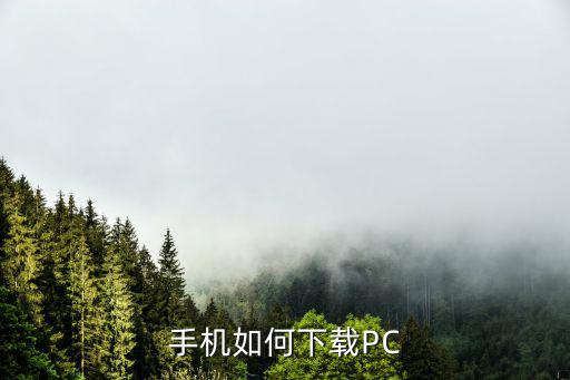 手机如何下载PC