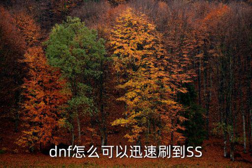 dnf怎么可以迅速刷到SS