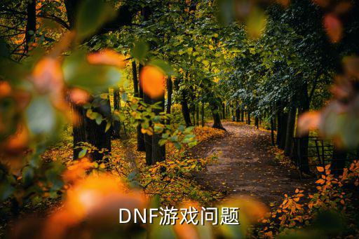 DNF游戏问题