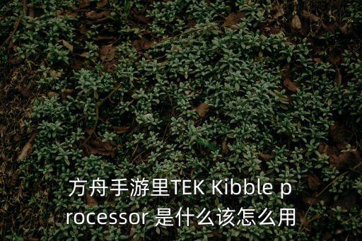 方舟手游泰克甲怎么样开启飞行，方舟手游里TEK Kibble processor 是什么该怎么用