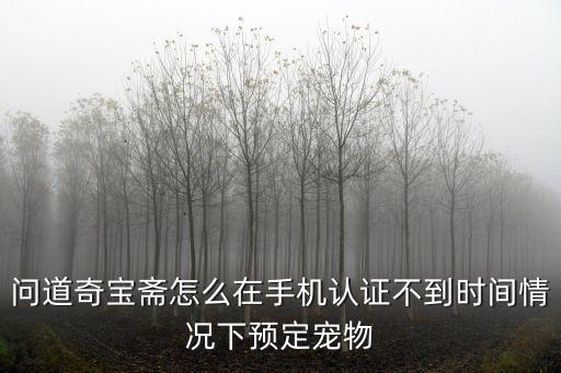 问道手游聚宝斋到时间怎么抢，我在问道奇宝斋上面看到一个好商品价格又合理10天后才卖问一