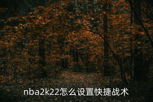 nba2k22怎么设置快捷战术