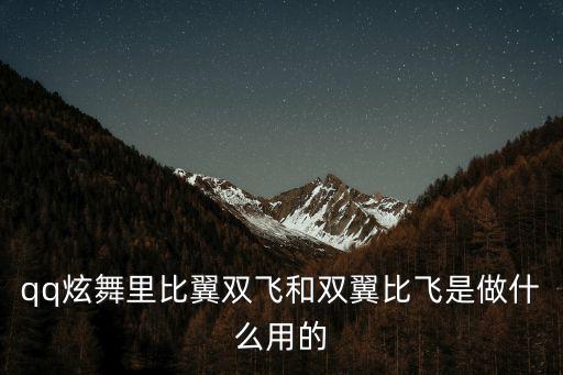 qq炫舞里比翼双飞和双翼比飞是做什么用的