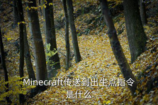 Minecraft传送到出生点指令是什么