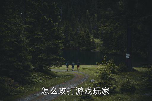 怎么攻打游戏玩家