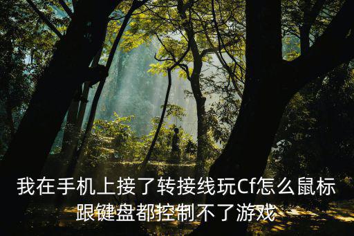 我在手机上接了转接线玩Cf怎么鼠标跟键盘都控制不了游戏