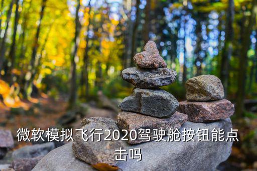 微软模拟飞行2020驾驶舱按钮能点击吗