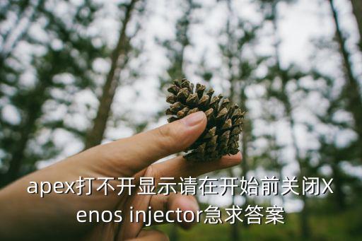 apex打不开显示请在开始前关闭Xenos injector急求答案