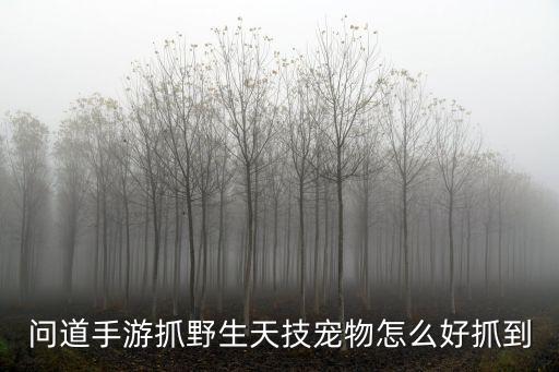 问道手游抓野生天技宠物怎么好抓到