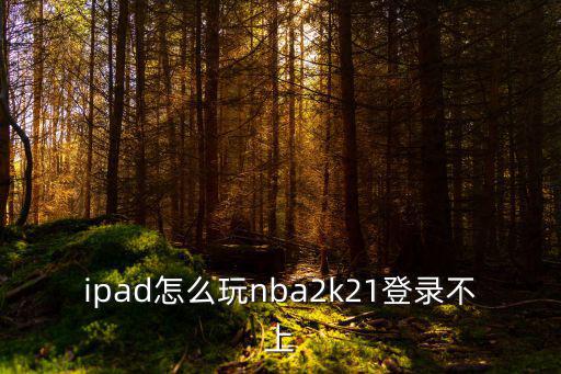 ipad怎么玩nba2k21登录不上