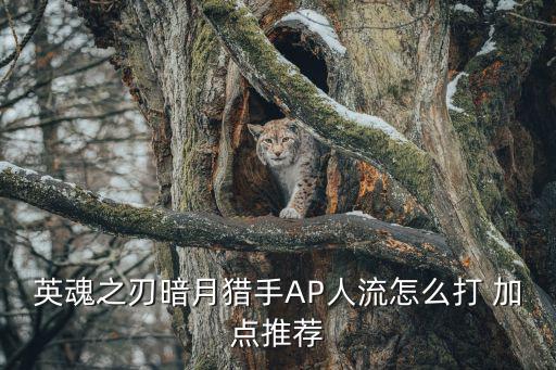 英魂之刃暗月猎手AP人流怎么打 加点推荐