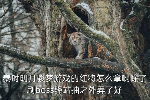 秦时明月骏梦游戏的红将怎么拿啊除了刷boss驿站抽之外弄了好