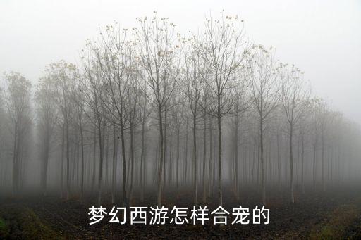 梦幻西游怎样合宠的