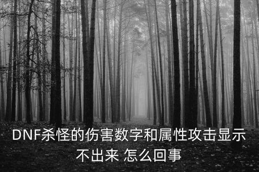 DNF杀怪的伤害数字和属性攻击显示不出来 怎么回事