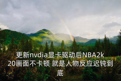 更新nvdia显卡驱动后NBA2k20画面不卡顿 就是人物反应迟钝到底