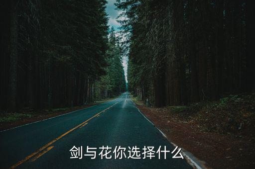 剑与花你选择什么