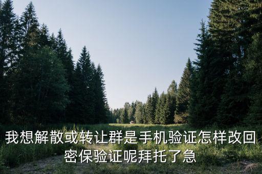 我想解散或转让群是手机验证怎样改回密保验证呢拜托了急