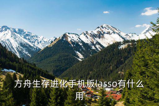 方舟生存进化手机版lasso有什么用