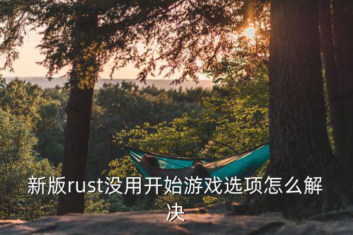 新版rust没用开始游戏选项怎么解决