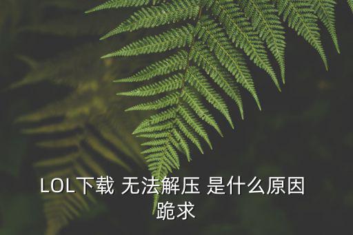 LOL下载 无法解压 是什么原因 跪求